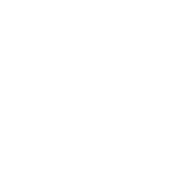 II Logo